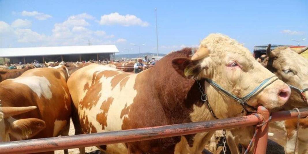 Et ve Süt Kurumu satılmayan kurbanlıklar için fiyat listesini yayımladı 4